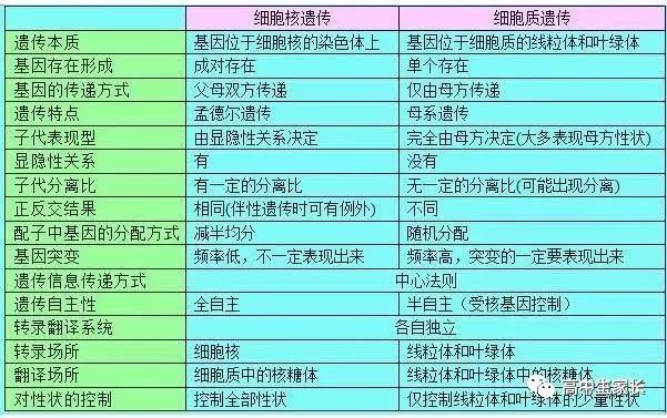 高中物理知識點總結表