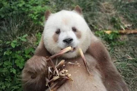 初中物理趣味競賽題