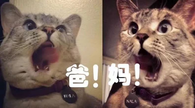 初中物理趣味競賽題