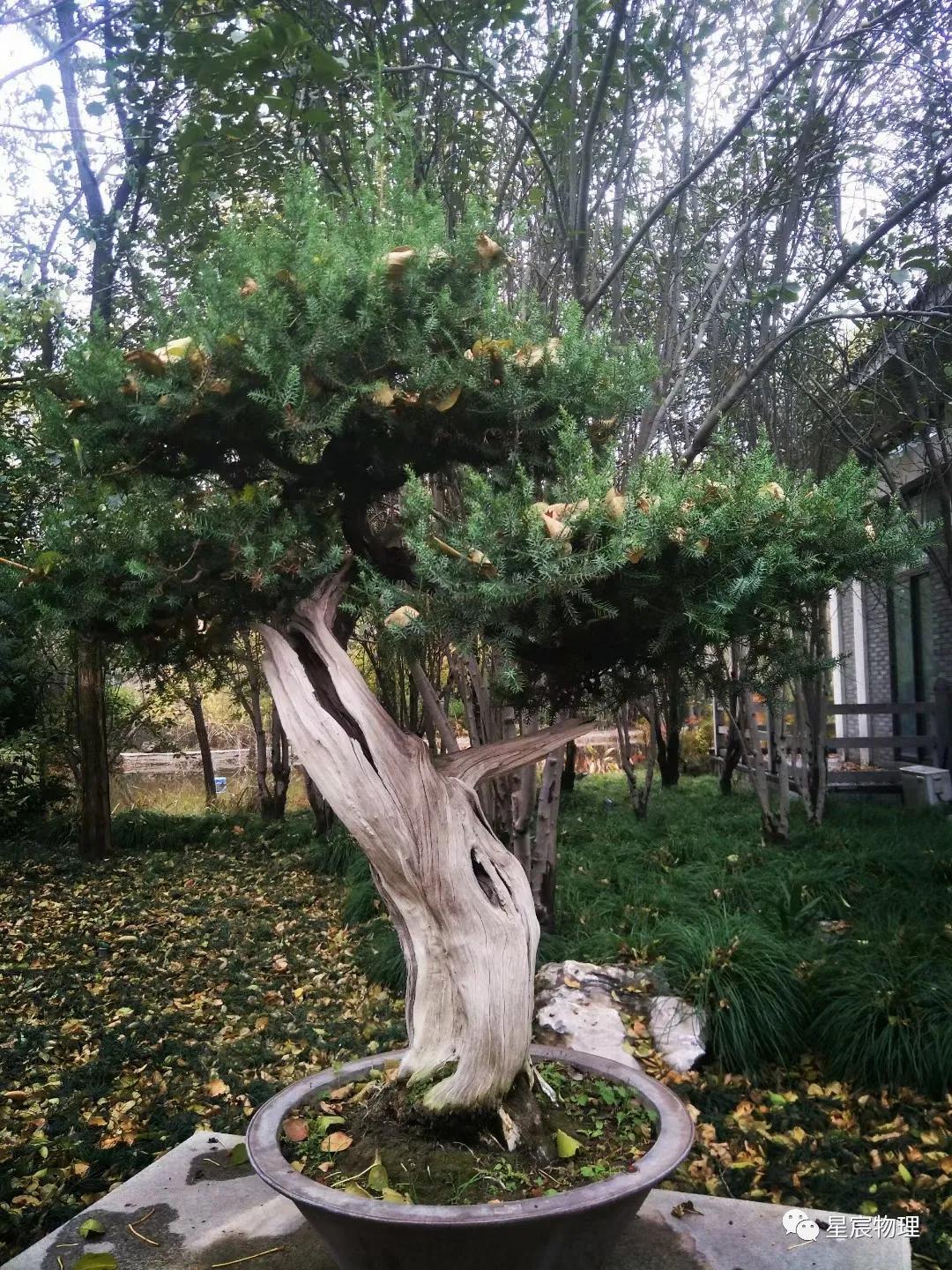 高中物理的自然規律