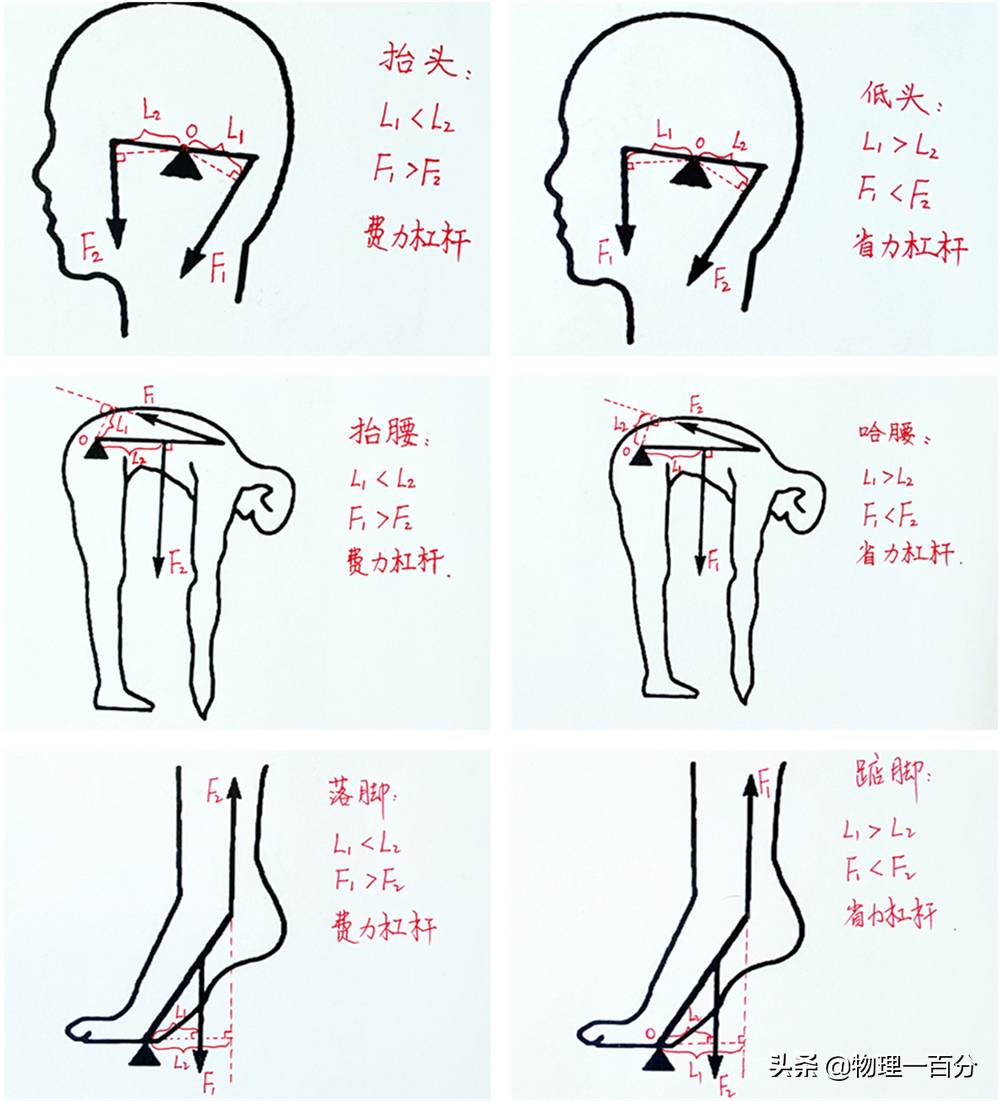 初中物理杠桿畫圖題