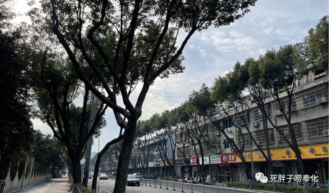 高中物理燈管圖片
