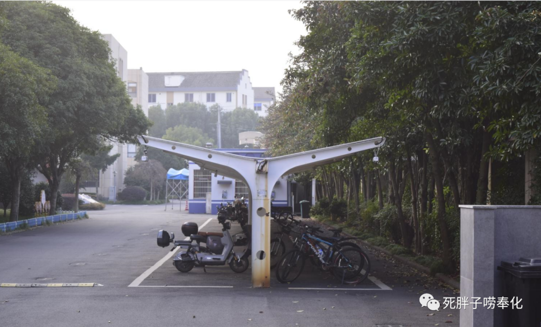 高中物理燈管圖片