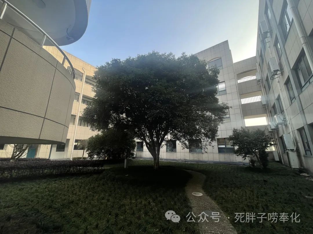 高中物理燈管圖片