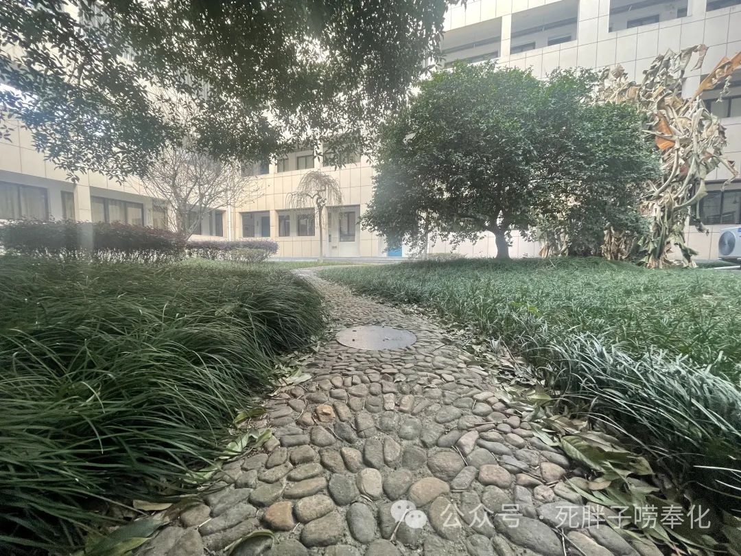 高中物理燈管圖片