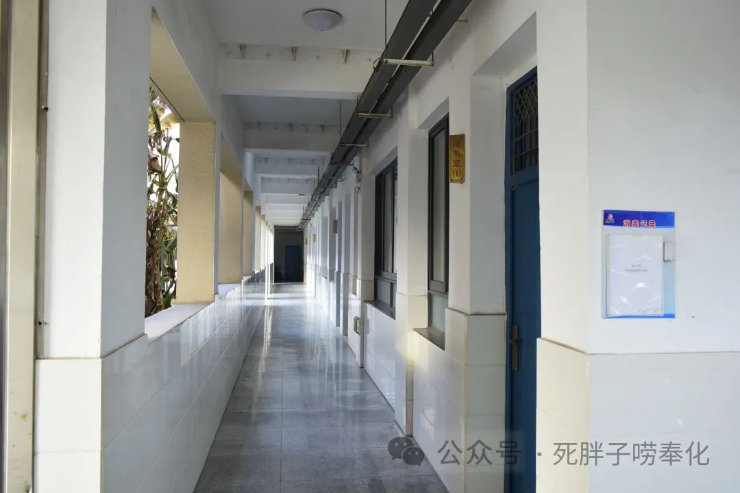 高中物理燈管圖片