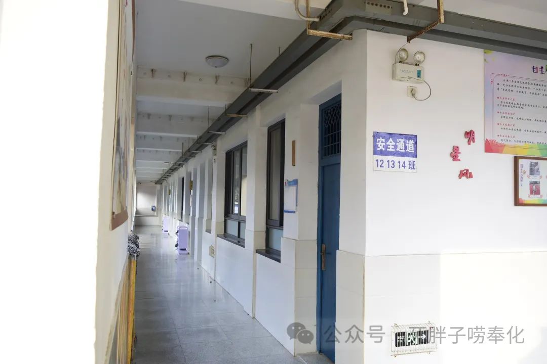 高中物理燈管圖片