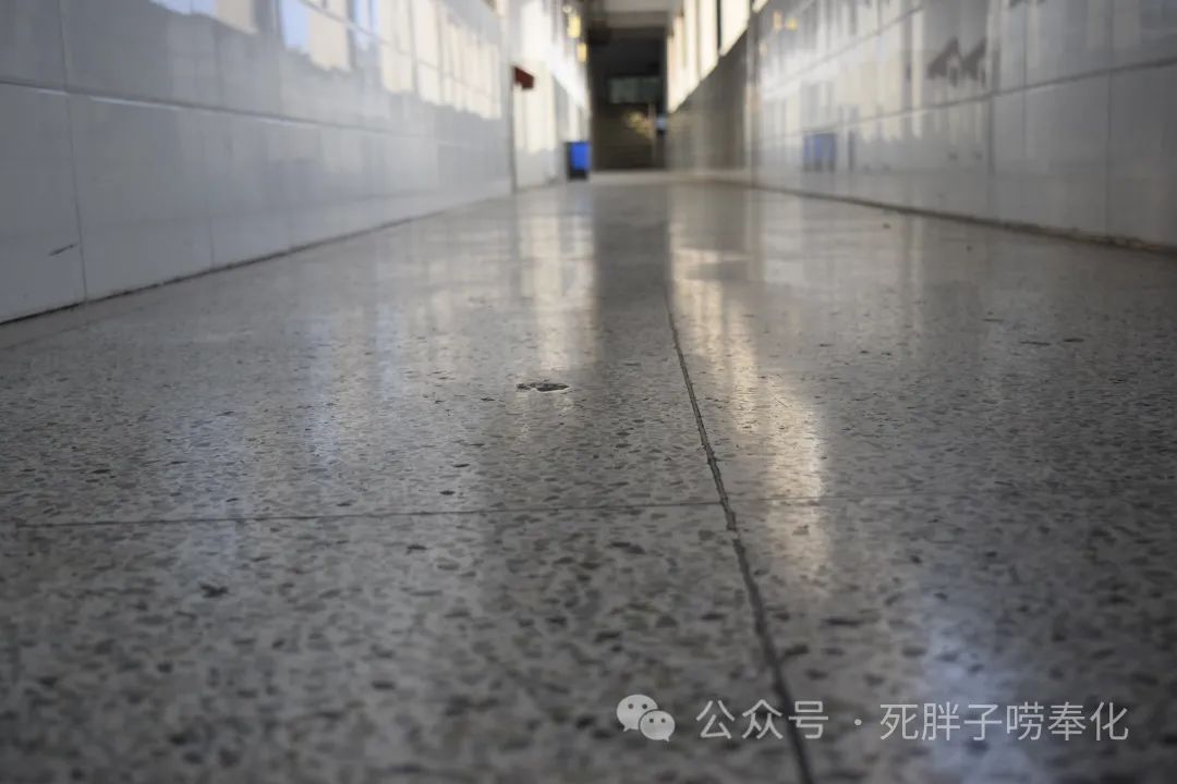 高中物理燈管圖片