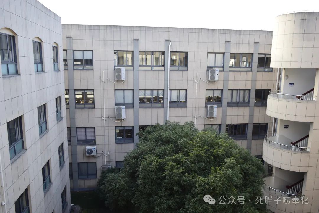 高中物理燈管圖片