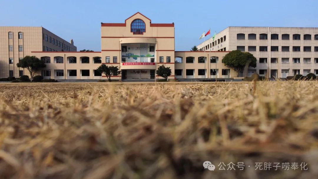 高中物理燈管圖片