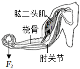 物理初中熱效率