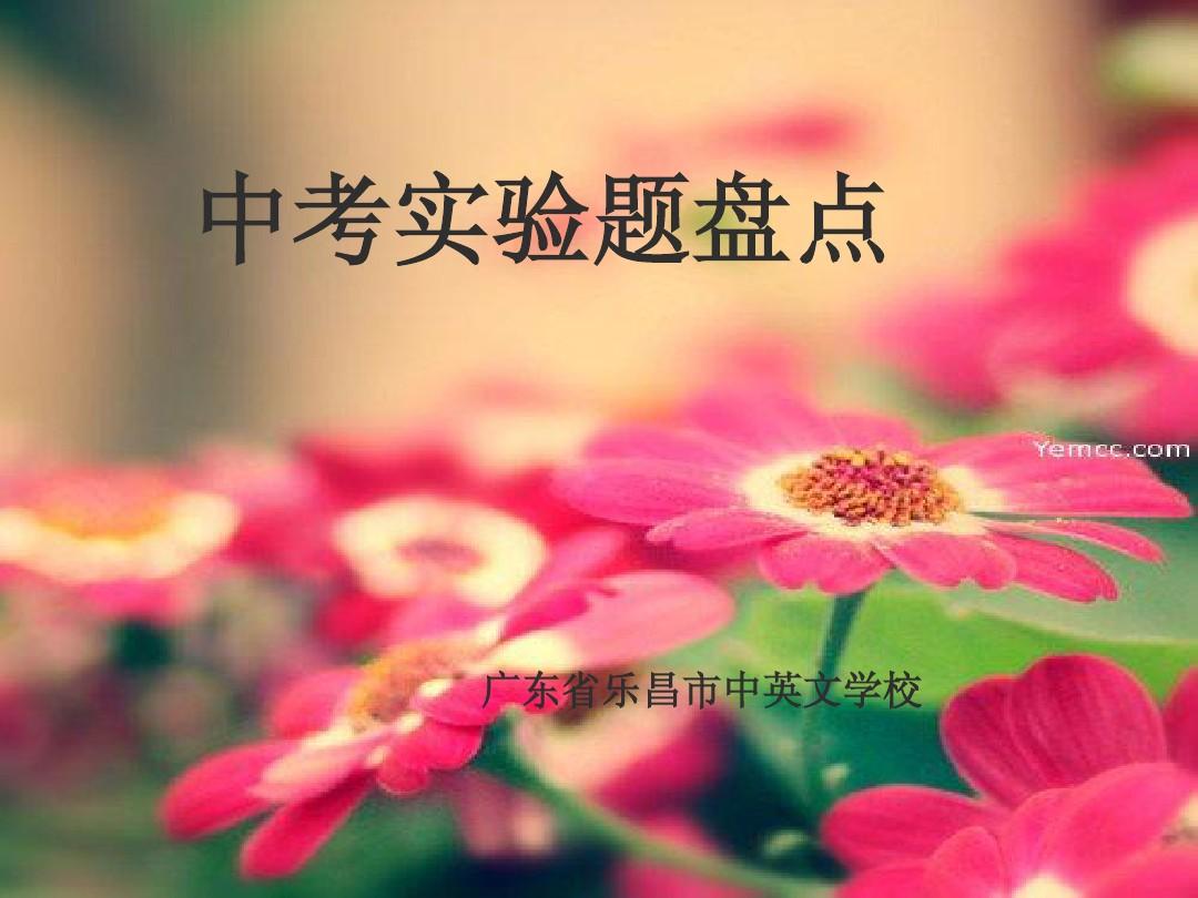 物理八年級下冊第十二章簡單機械》教學教案（）