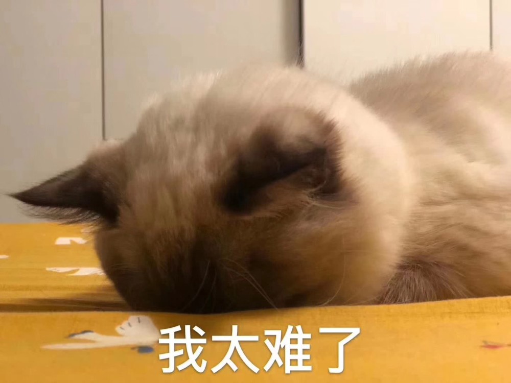 初中物理降分