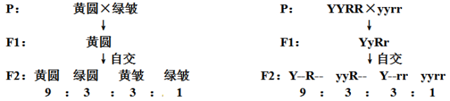高中物理必修二生物