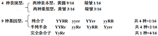 高中物理必修二生物