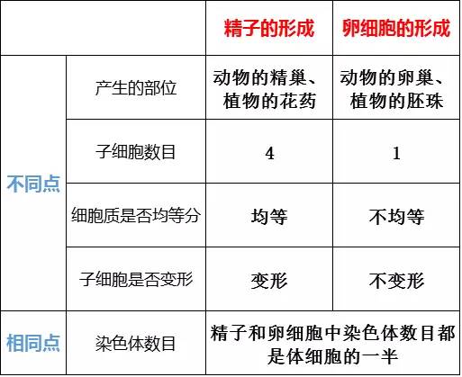 高中物理必修二生物