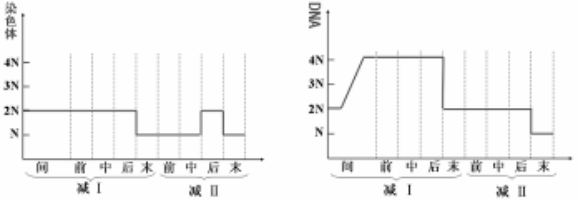 高中物理必修二生物
