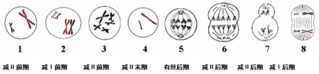 高中物理必修二生物