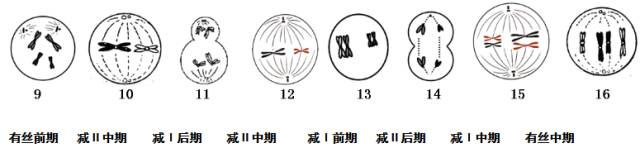 高中物理必修二生物