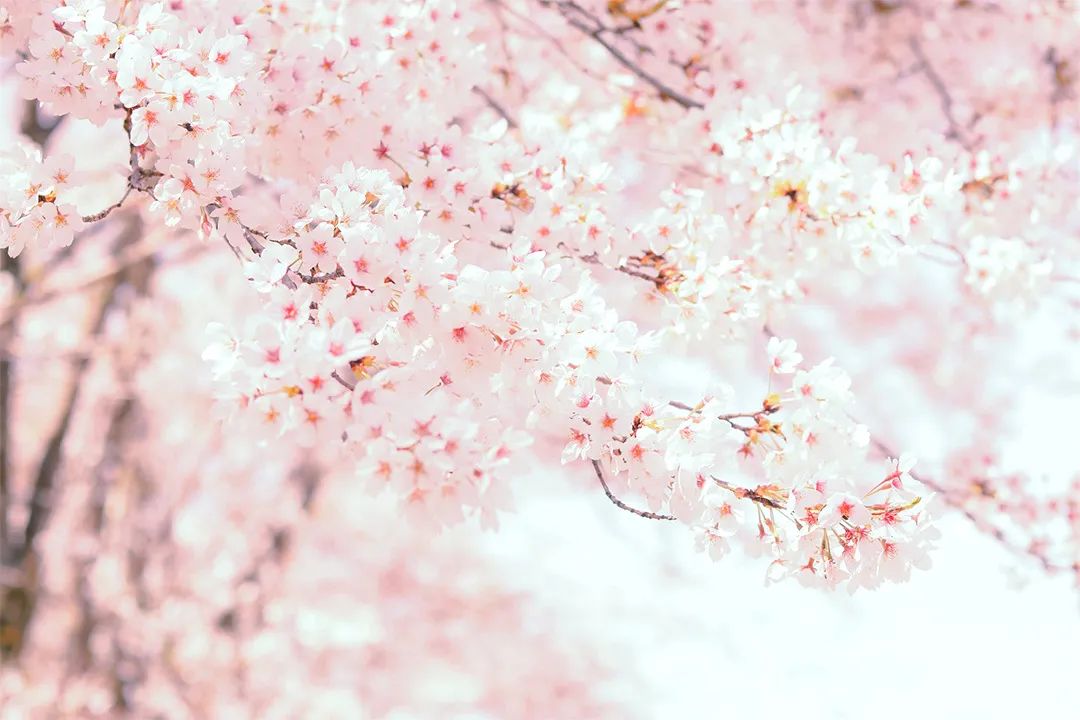 初中物理評課語