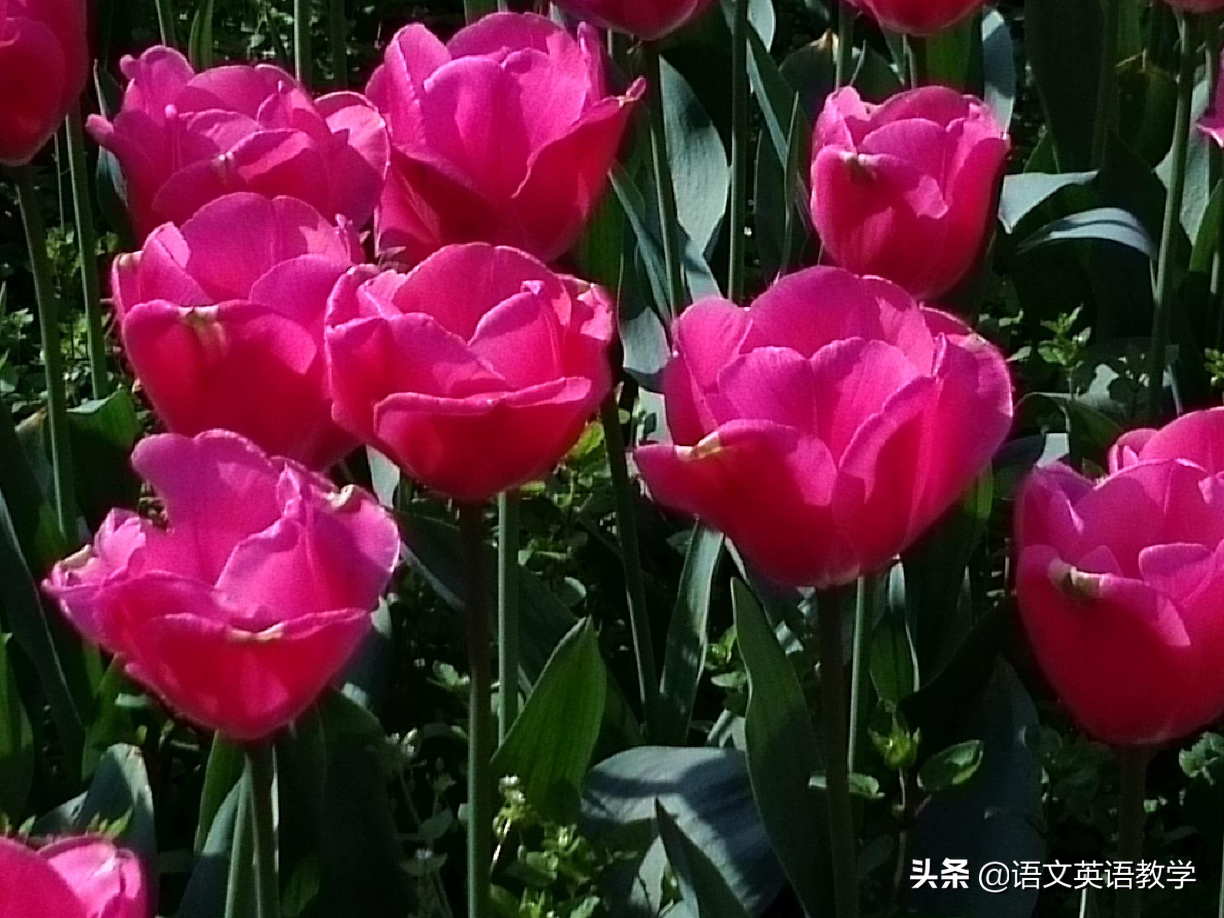 初中物理現象說明文