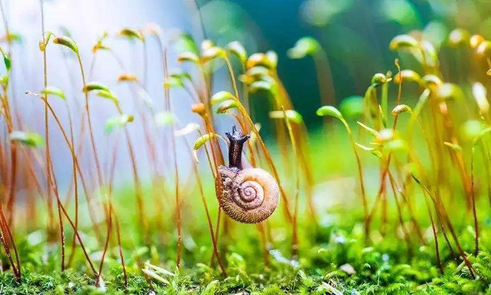 英語中表示醫生和物理學家的單詞為何含義相差甚遠？