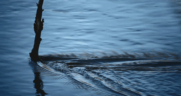 周鴻祎與齊向東徹底分家，企業安全業務正面競爭一觸即發