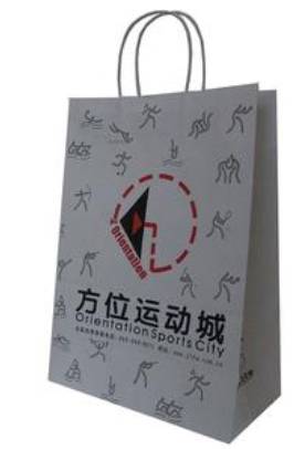 高中物理學科知識與教學能力