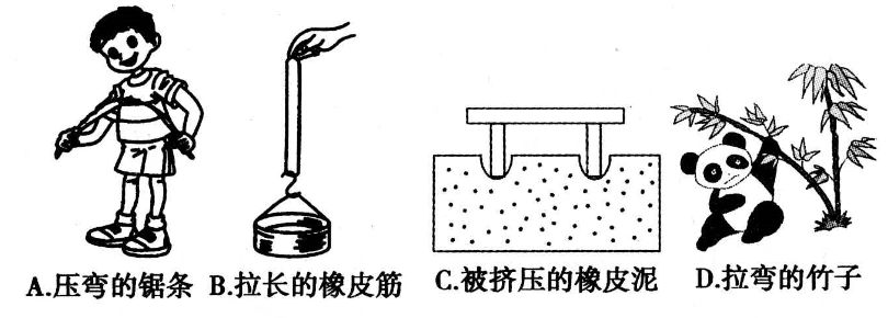 彈力包括哪些力