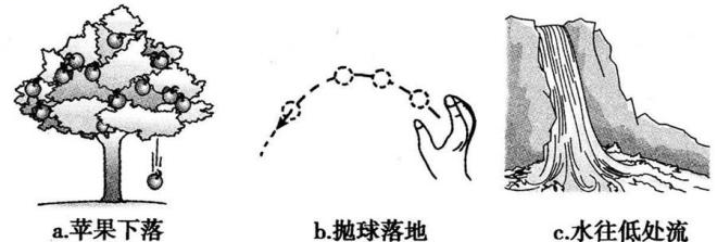 彈力包括哪些力