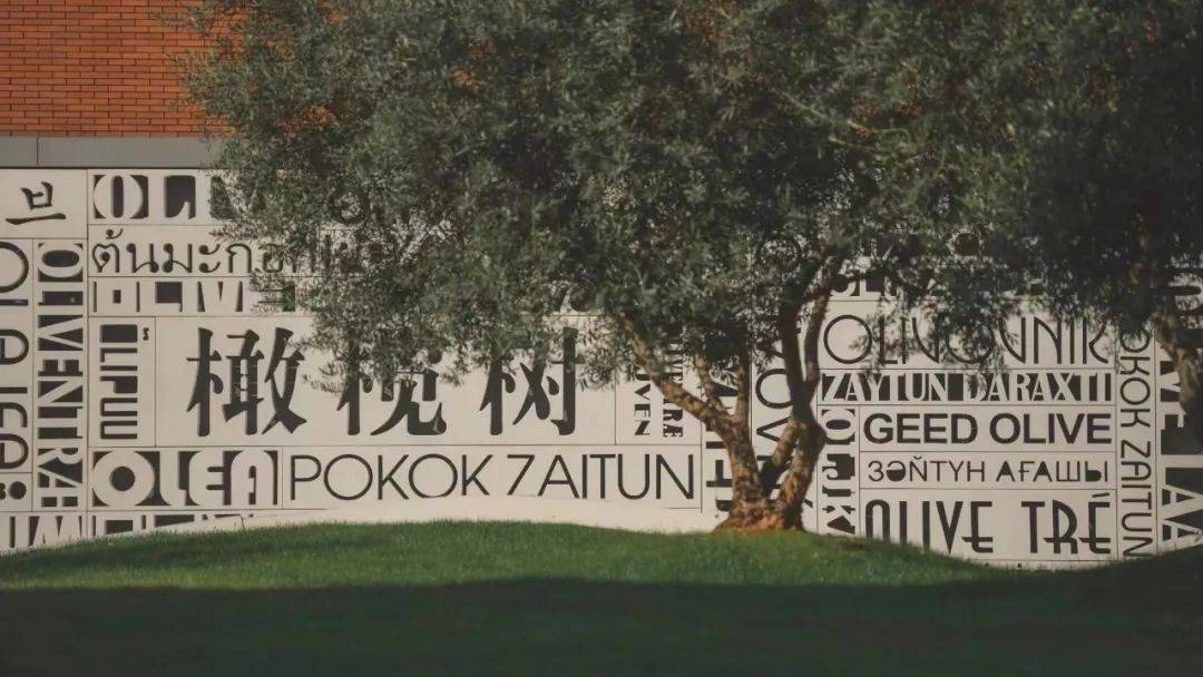 初中物理競賽用書