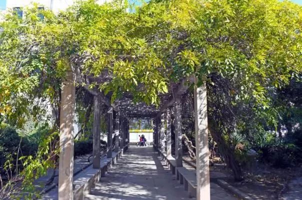 鄭州初中物理輔導班