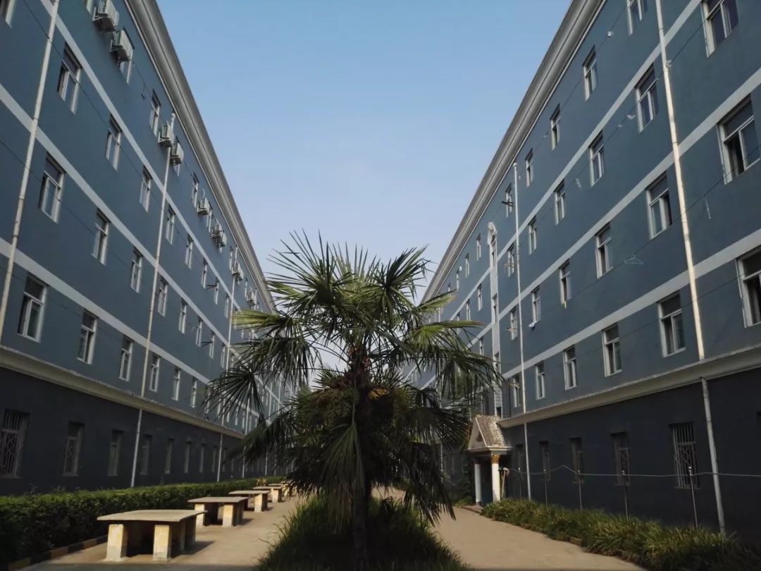 高中物理龍門