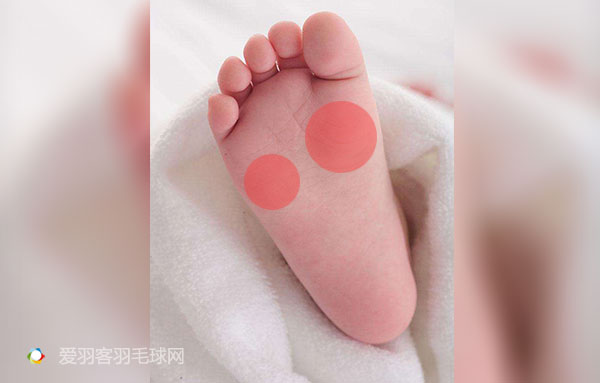 高中物理力的教案