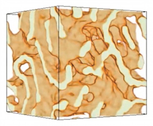 中子星內(nèi)部的秘密：比鋼硬 100 億倍的核面食，僅存在于理論中
