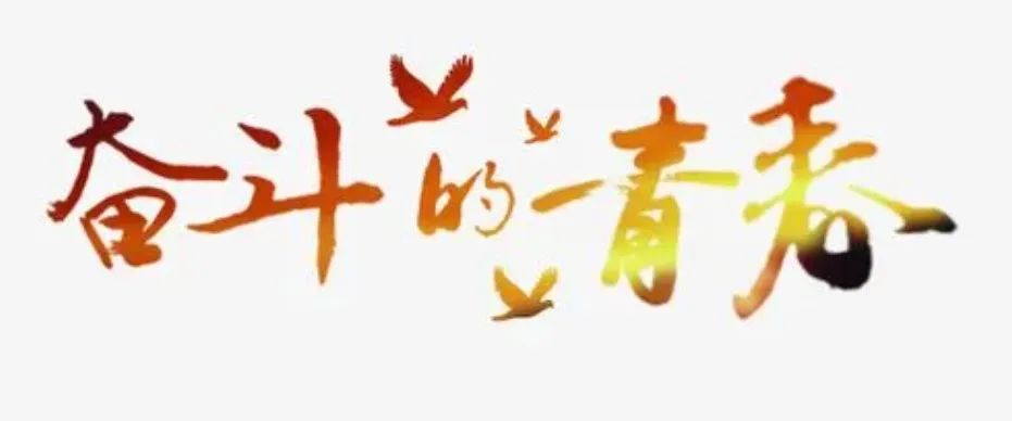 奮斗擦亮青春底色，傳遞中國力量：楊振寧、朱彥夫、顧誦芬、彭士祿的故事