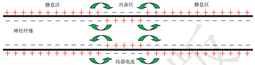 高中物理 思想方法