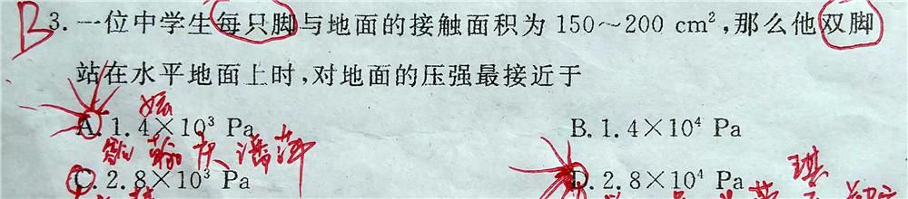 初中物理活動方案