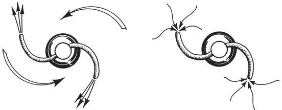 費曼問題終獲圓滿解答，科學(xué)頑童的奇思妙想引發(fā)深入思考