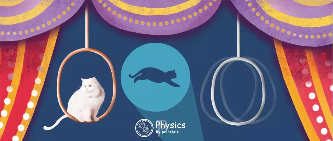 研究人員如何拯救薛定諤的貓？推翻量子物理學(xué)基石