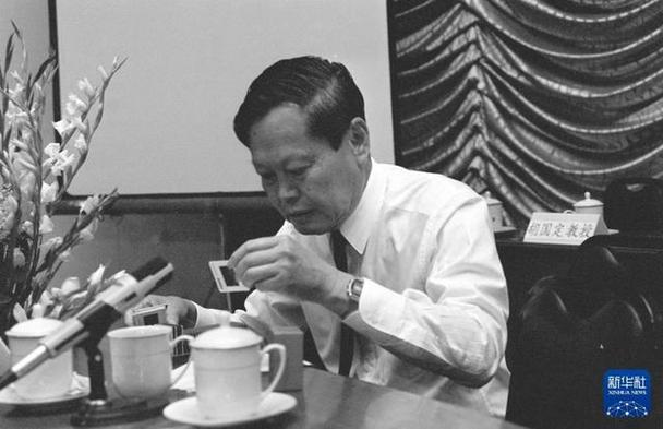 中國的理論物理學家