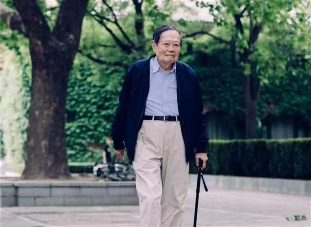 中國的理論物理學家