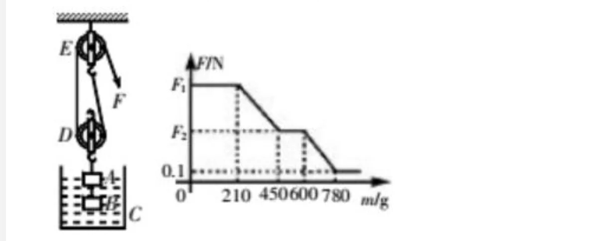 初中物理力的課件