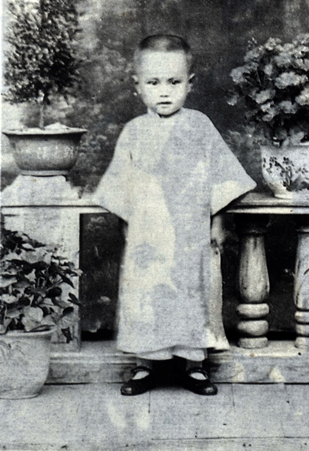 偉大的物理學家楊振寧