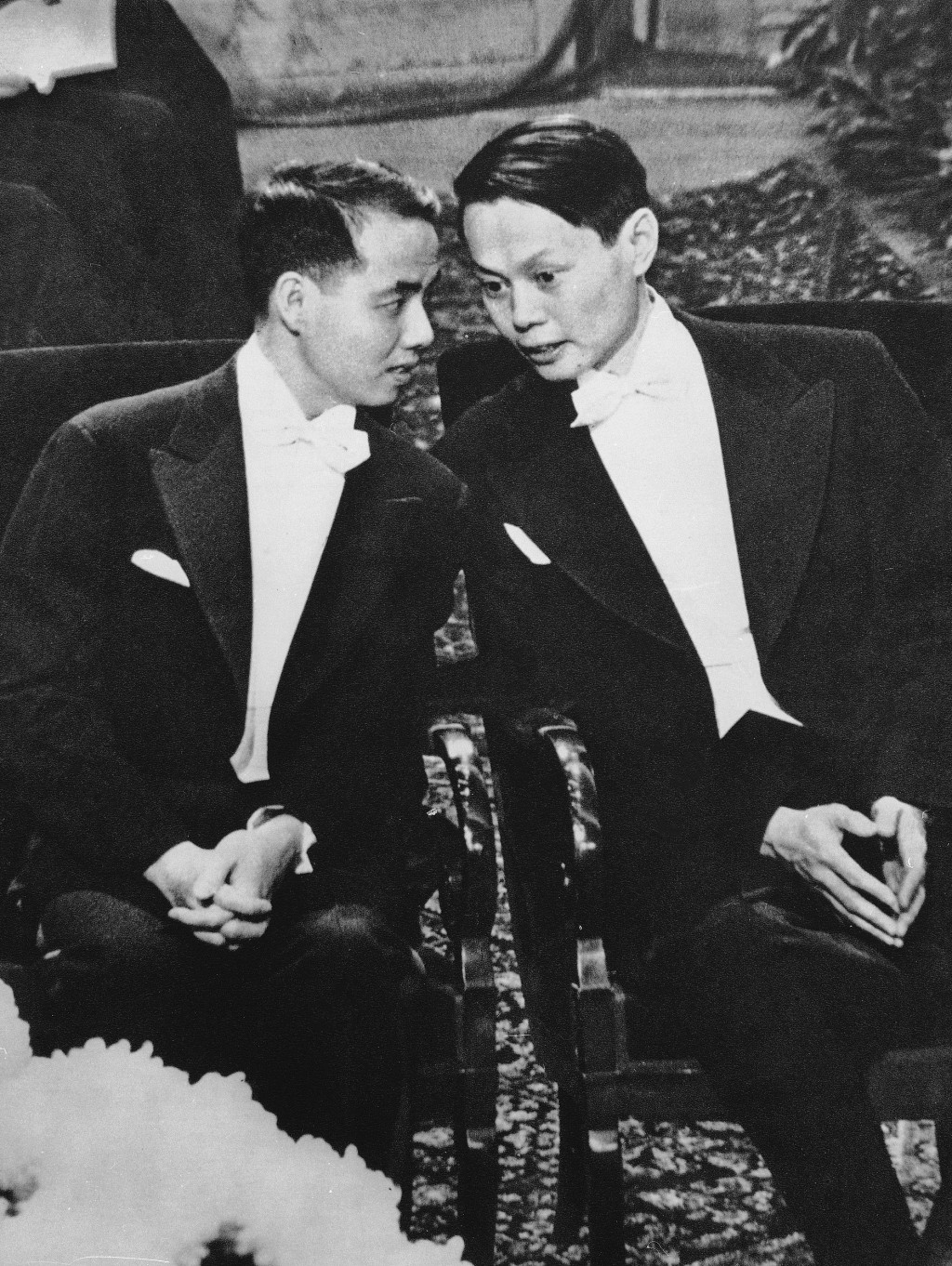 偉大的物理學家楊振寧